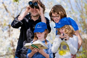 Eltern mit Kinder bei der Vogelzählung. Vater mit Fernglas - 2 Kinder und die Mutter schauen interessiert in einem Nachschlagswerk (Buch)