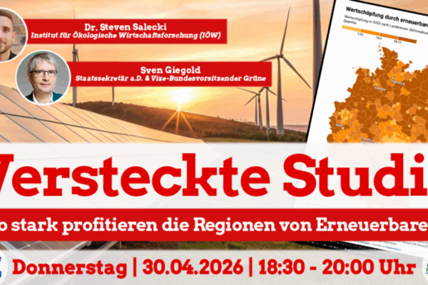 Bild zu einem Webinar "Webinar “Die versteckte Studie: So stark profitieren die Regionen von Erneuerbaren!”"