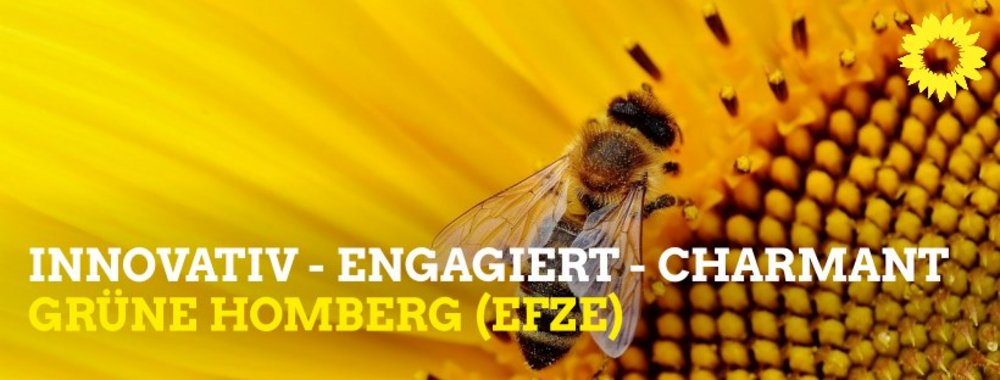 Bild: Banner von Gruene Homberg (Efze) "GRÜNE Vielfalt für Homberg"